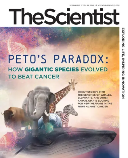 The Scientist 科学家杂志2025年春季刊下载订阅-外刊兽-英语杂志电子版PDF下载网站