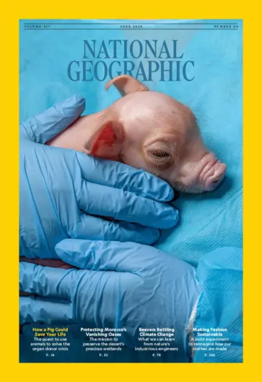 National Geographic 美国国家地理2025.06月号下载杂志订阅-外刊兽-英语杂志电子版PDF下载网站