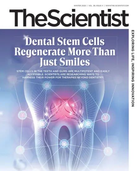 The Scientist 科学家杂志2025年冬季刊PDF下载-外刊兽-英语杂志电子版PDF下载网站